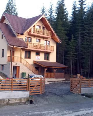 Vidra Parc