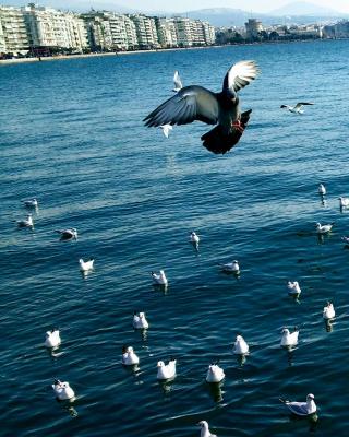 Sunset in Thermaikos