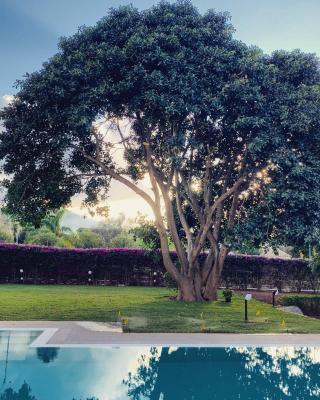 Il Giardino di Venere