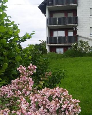 Ferienwohnung Am Eichbühl