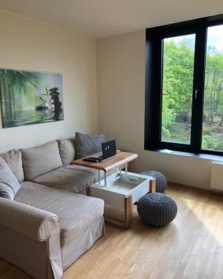 Triplex Residence, Lux-appartment in the central part