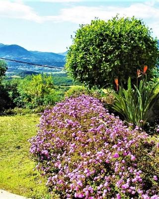 Casa di l'Alivetu