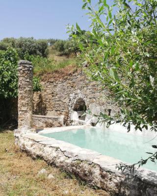 FattoriaTenuta Santa Caterina