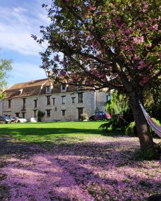 La Fauconnerie Du Roy