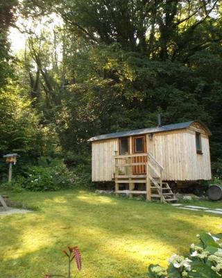 'Morris' the shepherd's hut with woodland hot tub