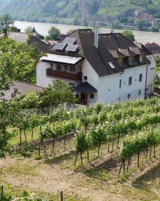 Weinbau und Gästezimmer Pammer