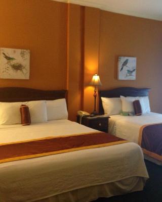 Apart Hotel La Cordillera