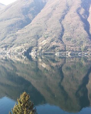 Giardino sul lago, La Vigna