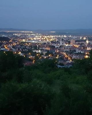 Pensiunea Bella Vista
