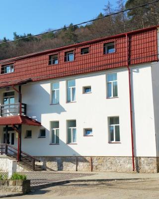 Hotel Teilor