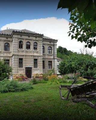 Country house Dunjin Konak