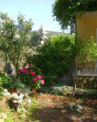 Lefkas house with garden