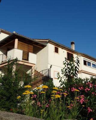 Apartman Petra