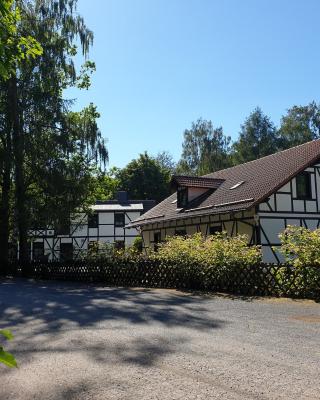 Sternhaus-Harz