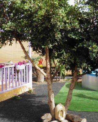 caravana en oasis privado