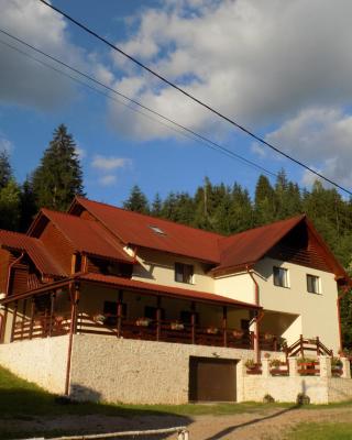 Pensiunea agroturistică Casa Brădeana
