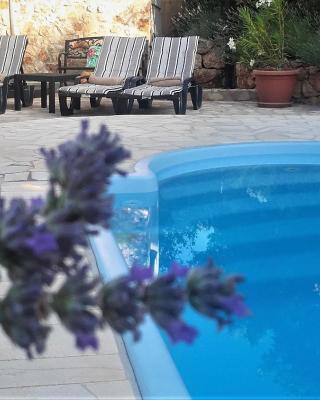 Lavender Hill Hvar Villa - pool, jacuzzi,sauna,BBQ