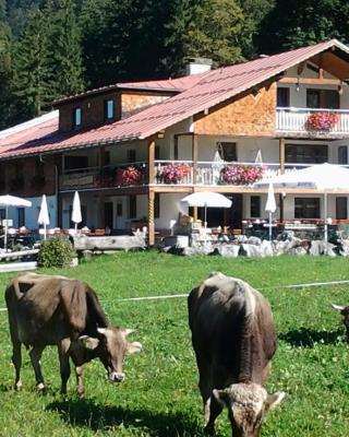 Berggasthof Riefenkopf