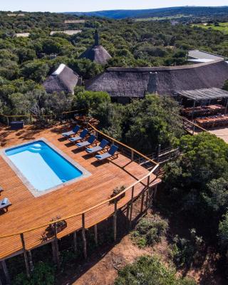 Woodbury Tented Camp – Amakhala Game Reserve