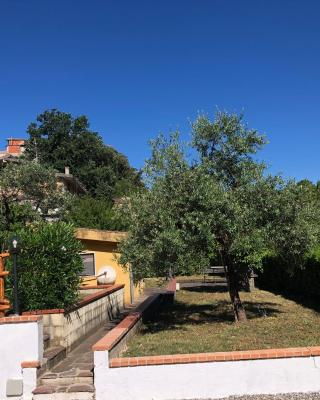 Casa Vacanze Nonna Suocera