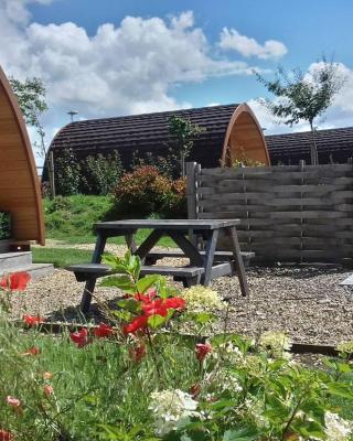 Lupin Glamping Pod