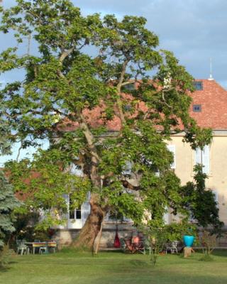 Le Clos des Roseaux