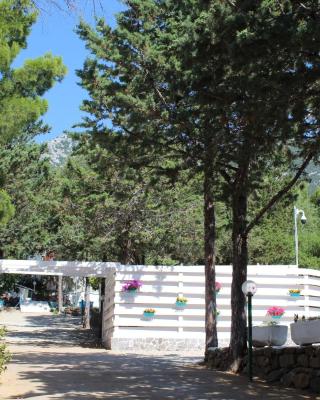 Camping Car Palmasera