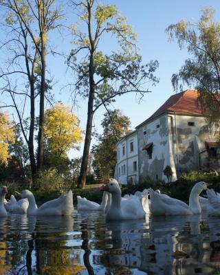 Piotrowice Nyskie Palace