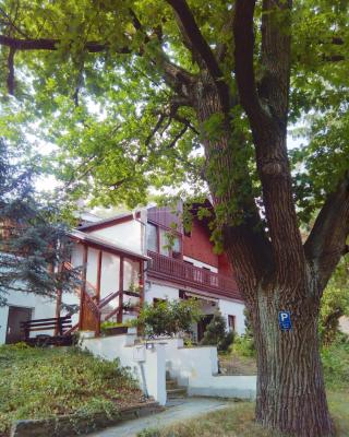 Pension Fischer