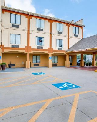 Comfort Inn & Suites Love Field-Dallas Market Center