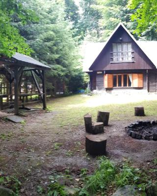 Slovak cottage near Bratislava in the heart of the Carpathians