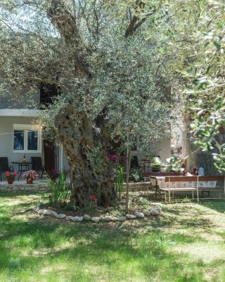 Apartments Radost
