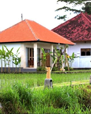 Padi guest house