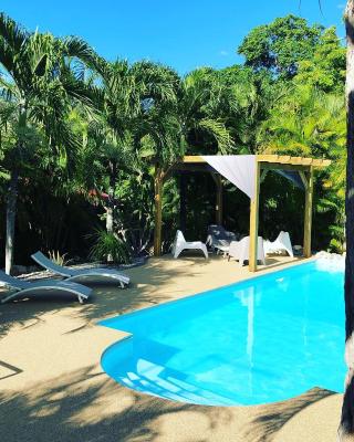 Ti coin paradis