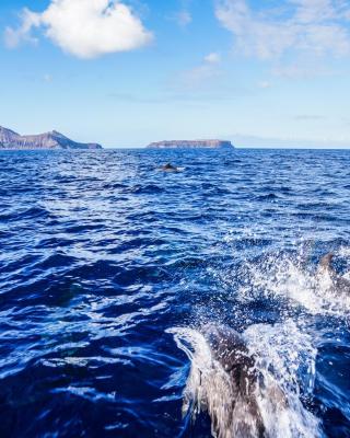 Porto Santo Blue House