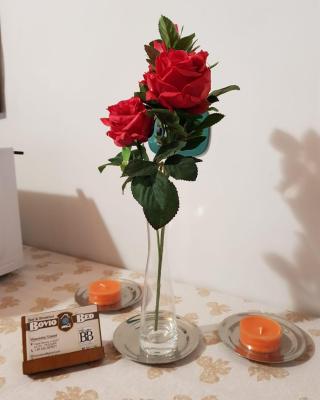 BovioBed B&B
