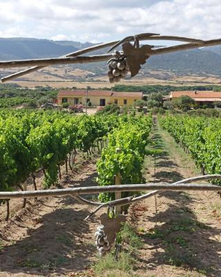 Agriturismo Campesi casale tra le vigne