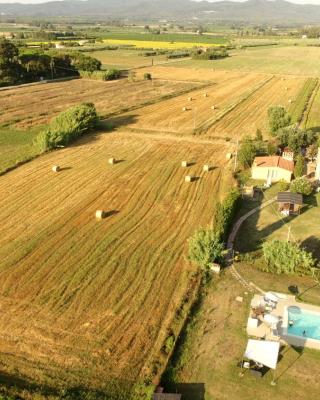 Il Bosco Agriturismo