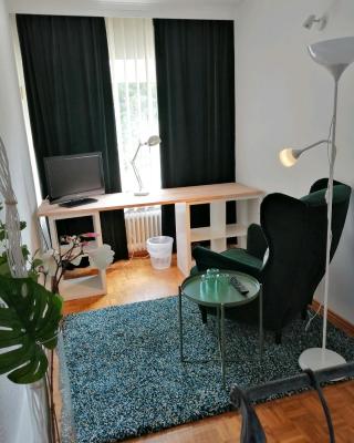 Apartment Froschkönig
