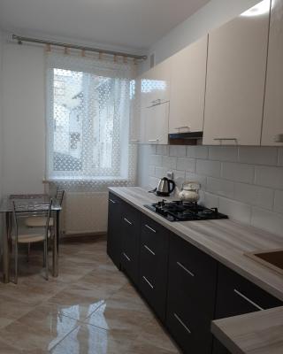 Apartment in Serbska Lviv