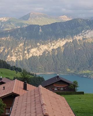 App. Seeblick Top of Interlaken