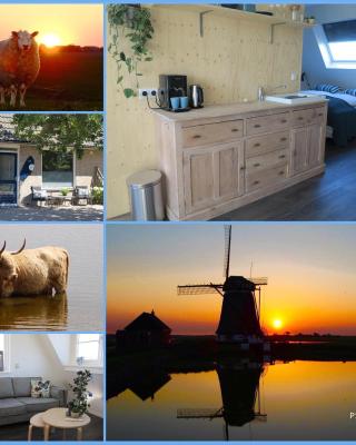 B&B Zonnedael