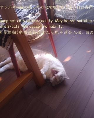 Guesthome Machiya Koza