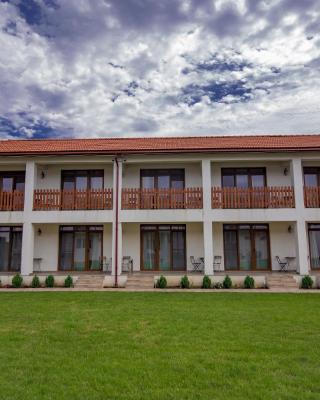 Casa Baran Vama Veche
