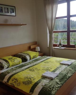 Vysokohorský apartmán Cihlářka