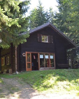 Ferienhütte Hochalm