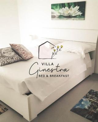B&B Villa Ginestra