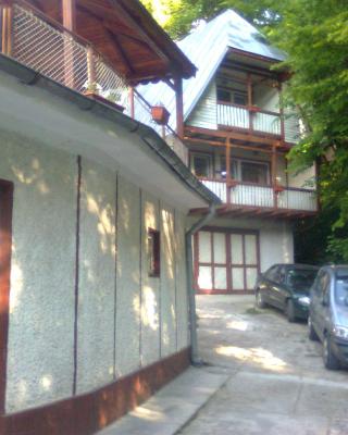 Casa Valea Iancului SINAIA