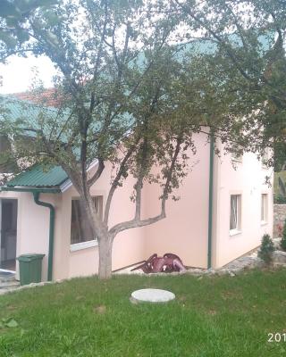 Apartments & Rooms Bojic