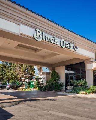 Best Western Plus Black Oak